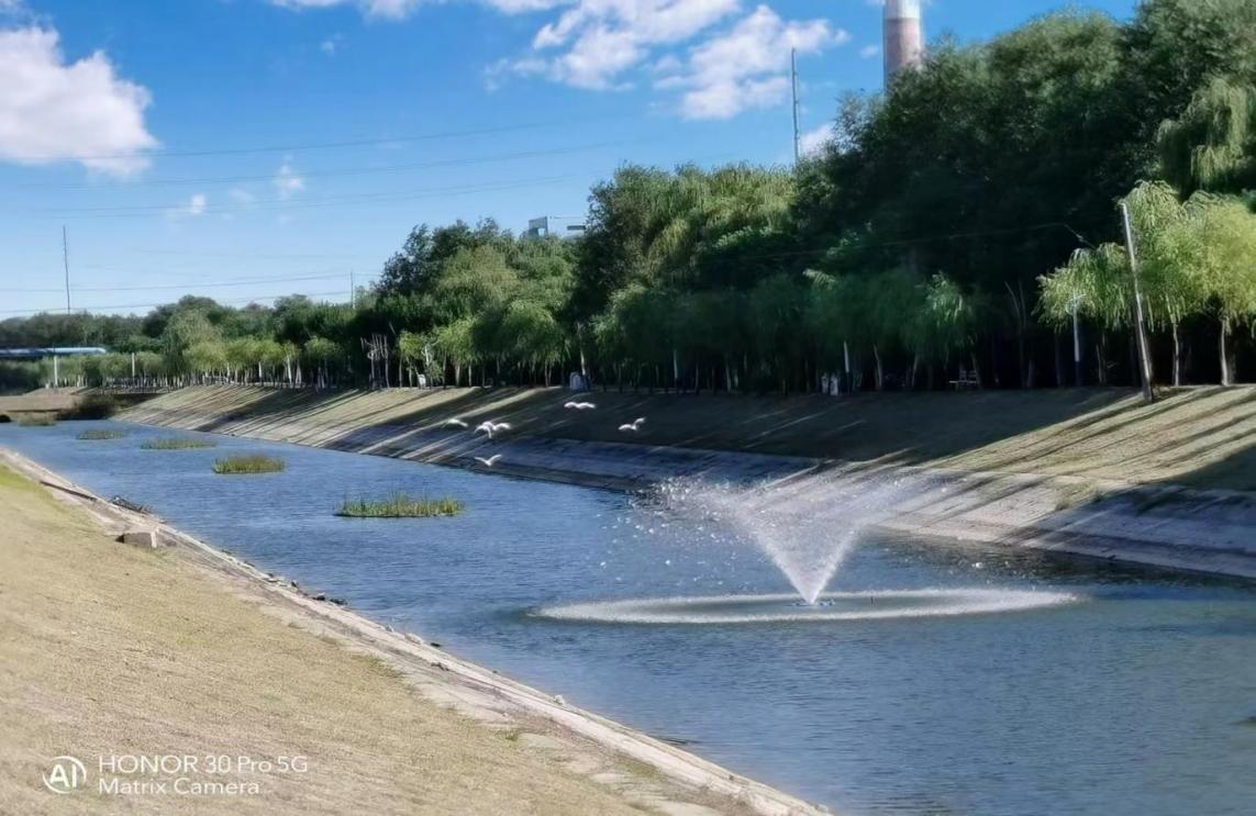 �����ʹ���(463cc) - �ٷ���վ