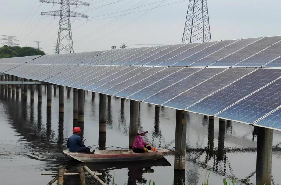 �����ʹ���(463cc) - �ٷ���վ