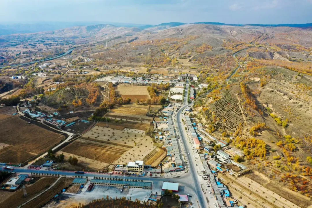 �����ʹ���(463cc) - �ٷ���վ