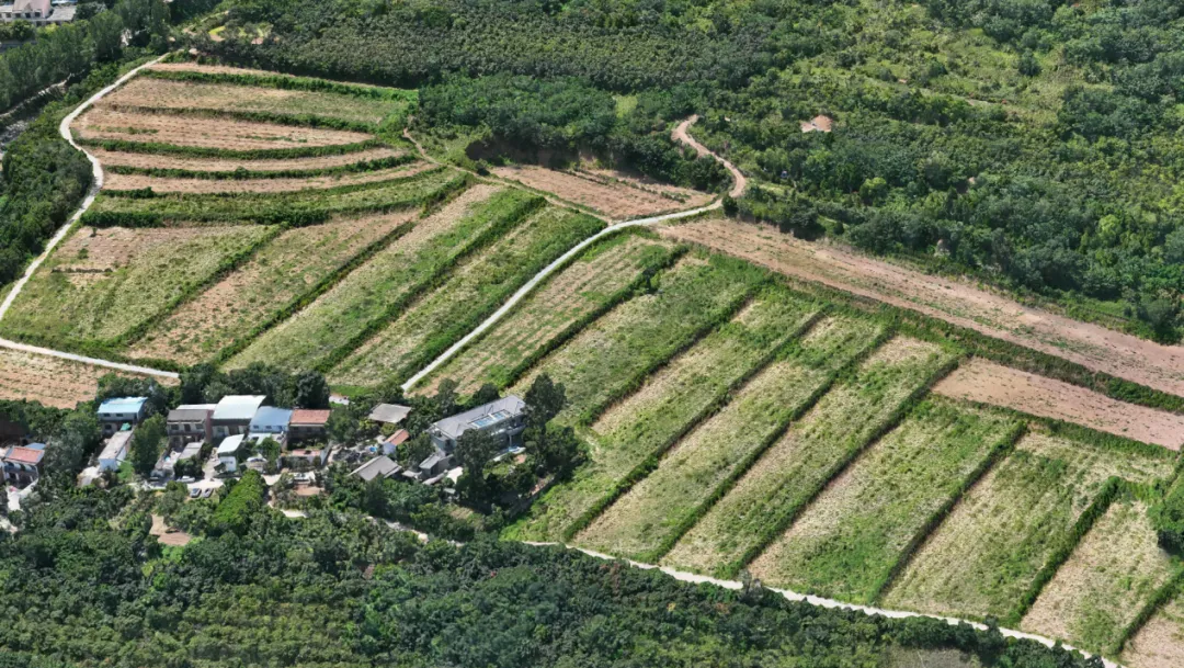 永利皇宫·(463cc) - 官方网站