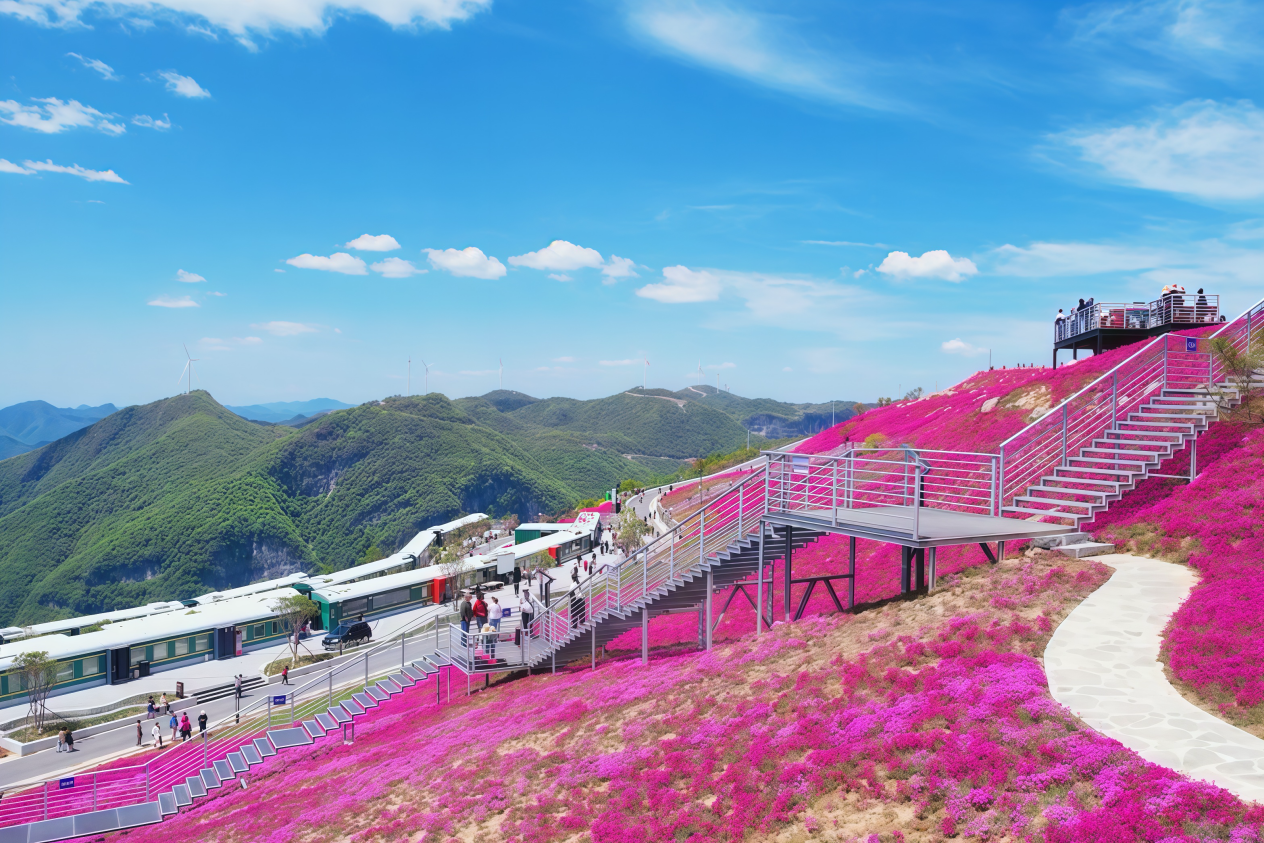 永利皇宫·(463cc) - 官方网站