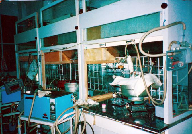 永利皇宫·(463cc) - 官方网站