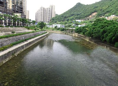 �����ʹ���(463cc) - �ٷ���վ