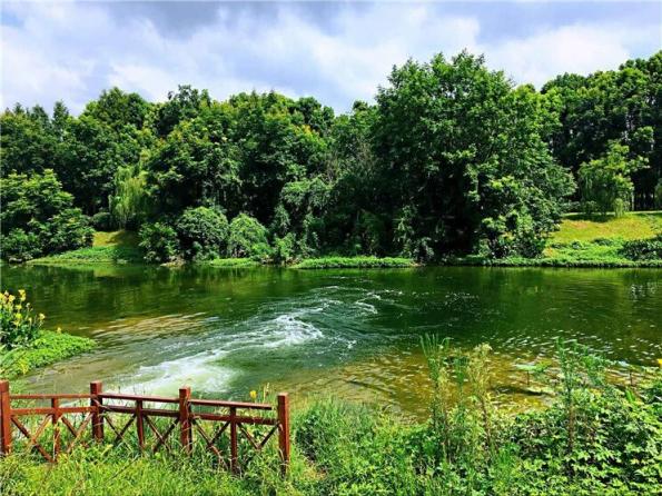 ÓÀÀû»Ê¹¬¡¤(463cc) - ¹Ù·½ÍøÕ¾