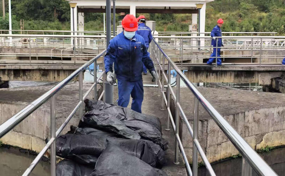 �����ʹ���(463cc) - �ٷ���վ