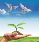 ÓÀÀû»Ê¹¬¡¤(463cc) - ¹Ù·½ÍøÕ¾